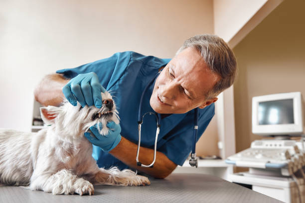 Best Emergency Root Canal Treatment in Garwood, NJ